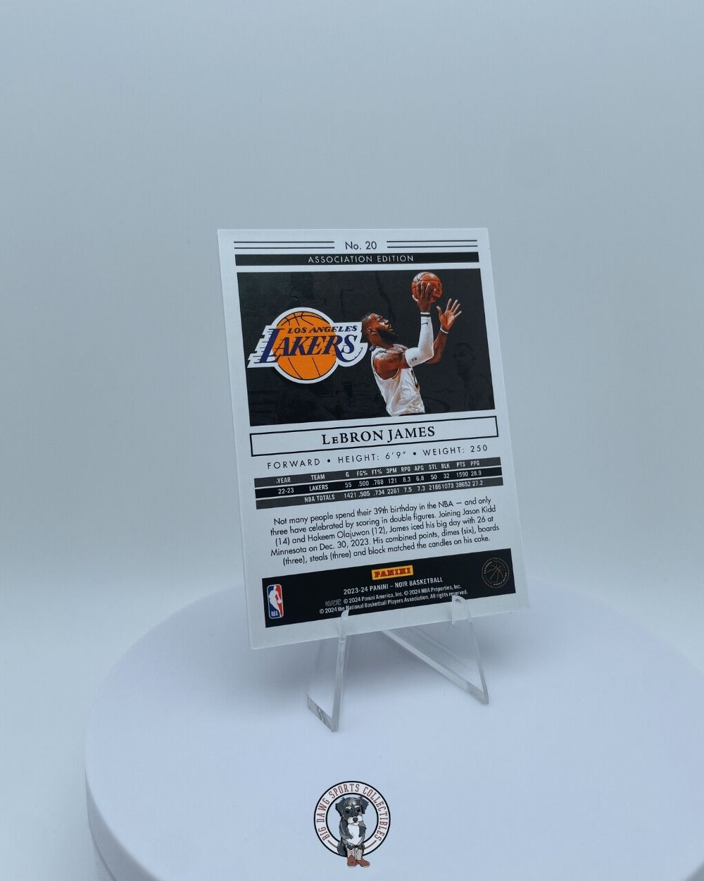 LeBron James 2023-24 Panini Noir Association Edition Card #20 - 17/49